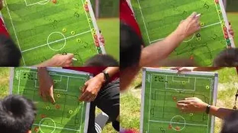 金贝娱乐 资讯 142905 rhq