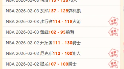 嵩山龙门1-0胜武汉队存疑争议，多拉多进球存疑，约尼奇进球被判无效