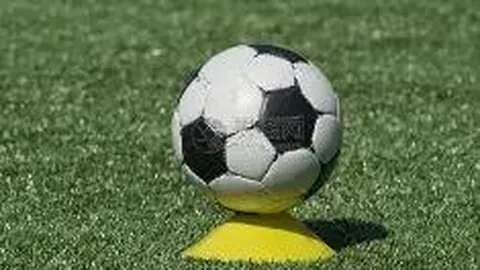 十星篮球掘金赛况解析：今晨双飞双红期号解读