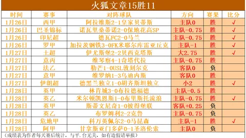 《英超激战第25轮：水晶宫客场表现揭秘，低谷中的挣扎与希望》